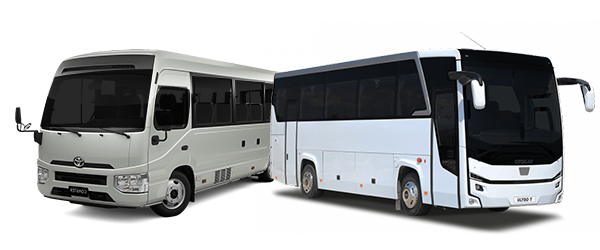 Mini Bus & Middle Bus Rental