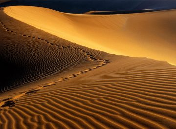 کویر3 360x264 Deserts of Iran
