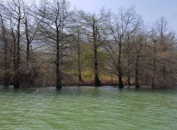 دریاچه7 360x264 دریاچه آویدار نگینی در استان مازندران