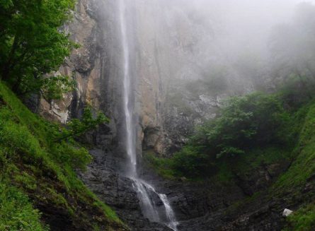 آبشار لاتون1 445x327 آبشار لاتون مرتفعترین آبشار ایران