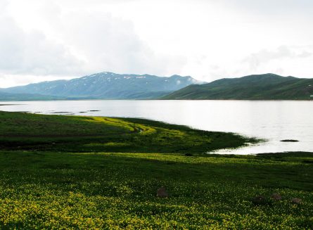 دریاچه نئور3 445x327 نئور بزرگ ‌ترین دریاچه طبیعی و آب شیرین اردبیل